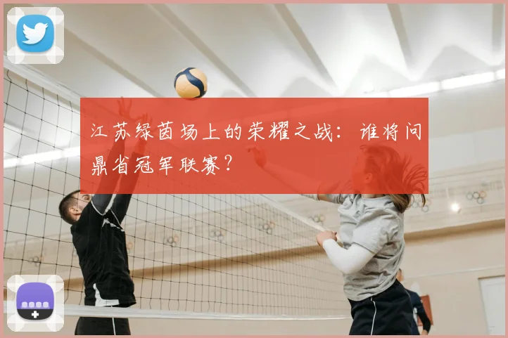 江苏绿茵场上的荣耀之战：谁将问鼎省冠军联赛？